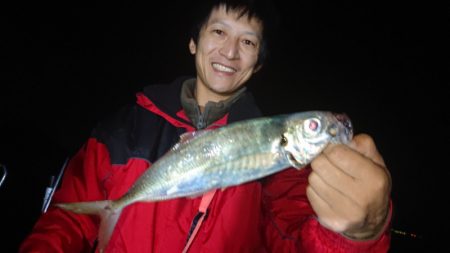 シースナイパー海龍 釣果