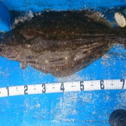 海龍丸（石川） 釣果