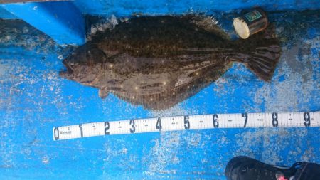 海龍丸（石川） 釣果