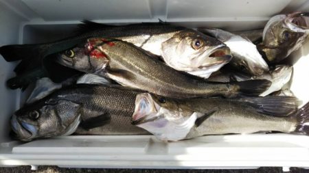 海龍丸（島根） 釣果