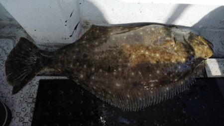 第二龍勢丸 釣果