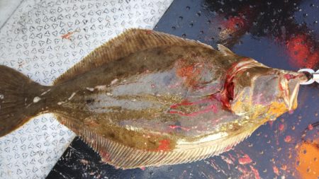 第二龍勢丸 釣果