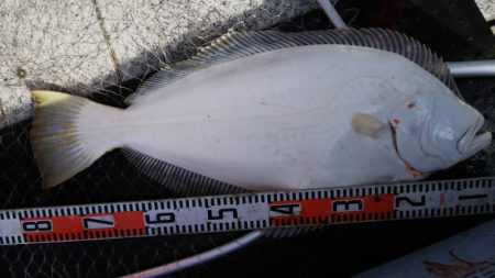 第二龍勢丸 釣果