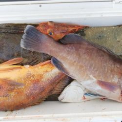 第二龍勢丸 釣果