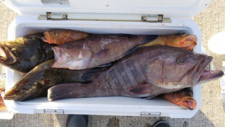 第二龍勢丸 釣果