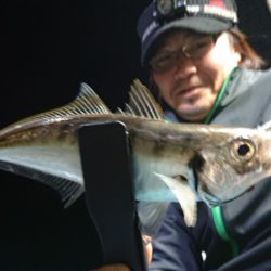 シースナイパー海龍 釣果