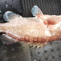 第二龍勢丸 釣果