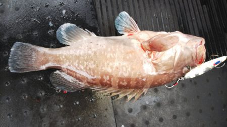 第二龍勢丸 釣果