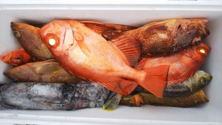 第二龍勢丸 釣果