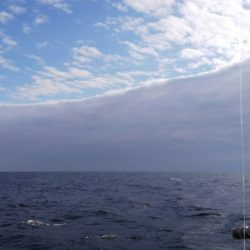 第二龍勢丸 釣果