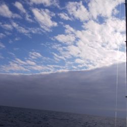 第二龍勢丸 釣果