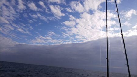 第二龍勢丸 釣果