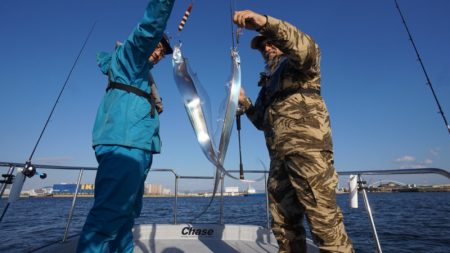 Chase（チェイス） 釣果