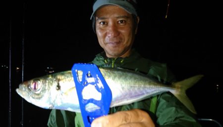 シースナイパー海龍 釣果