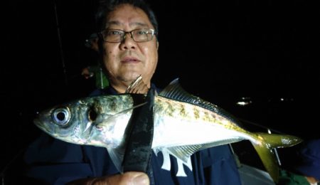 シースナイパー海龍 釣果