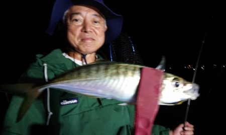 シースナイパー海龍 釣果