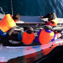 シーランチ 釣果