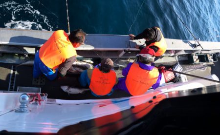 シーランチ 釣果