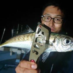 シースナイパー海龍 釣果