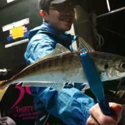 シースナイパー海龍 釣果