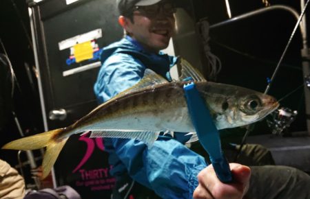 シースナイパー海龍 釣果