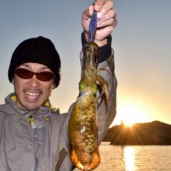 渡船屋たにぐち 釣果