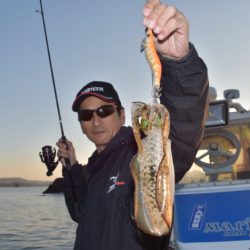 渡船屋たにぐち 釣果