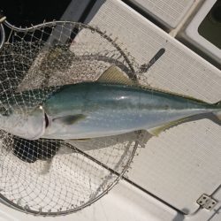 遊漁船 家入 釣果