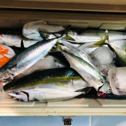 第二八坂丸 釣果