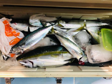 第二八坂丸 釣果