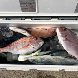 第二八坂丸 釣果