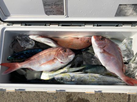 第二八坂丸 釣果