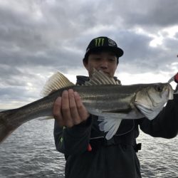 アマテラス 釣果