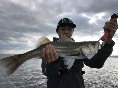 アマテラス 釣果