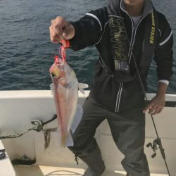 海坊主Ｖ 釣果