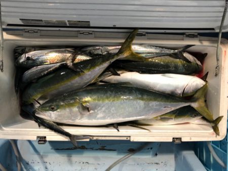 第二八坂丸 釣果