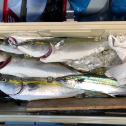 第二八坂丸 釣果