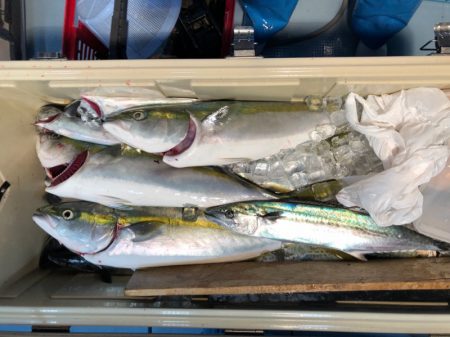 第二八坂丸 釣果