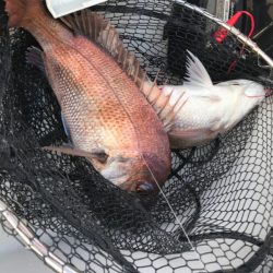 龍神丸(鹿児島) 釣果