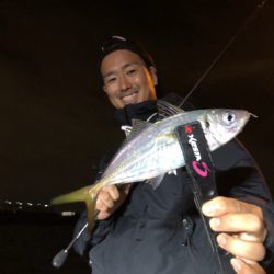 Chase（チェイス） 釣果