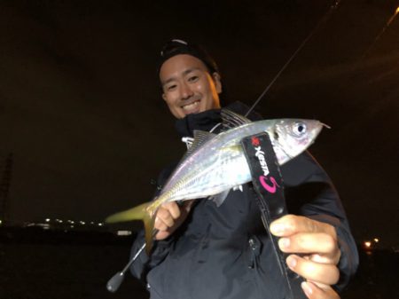 Chase（チェイス） 釣果