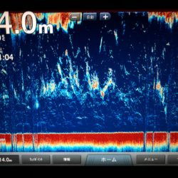 Chase（チェイス） 釣果