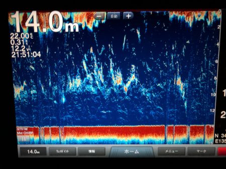 Chase（チェイス） 釣果