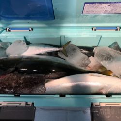 第二八坂丸 釣果