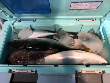 第二八坂丸 釣果