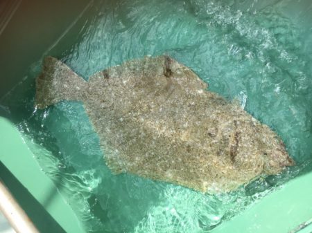 海楽隊 華栞丸 釣果