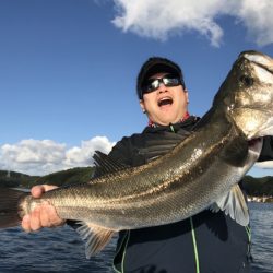 アマテラス 釣果