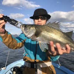 アマテラス 釣果