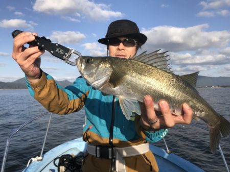 アマテラス 釣果