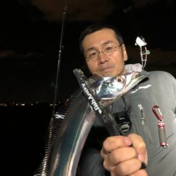 Chase（チェイス） 釣果